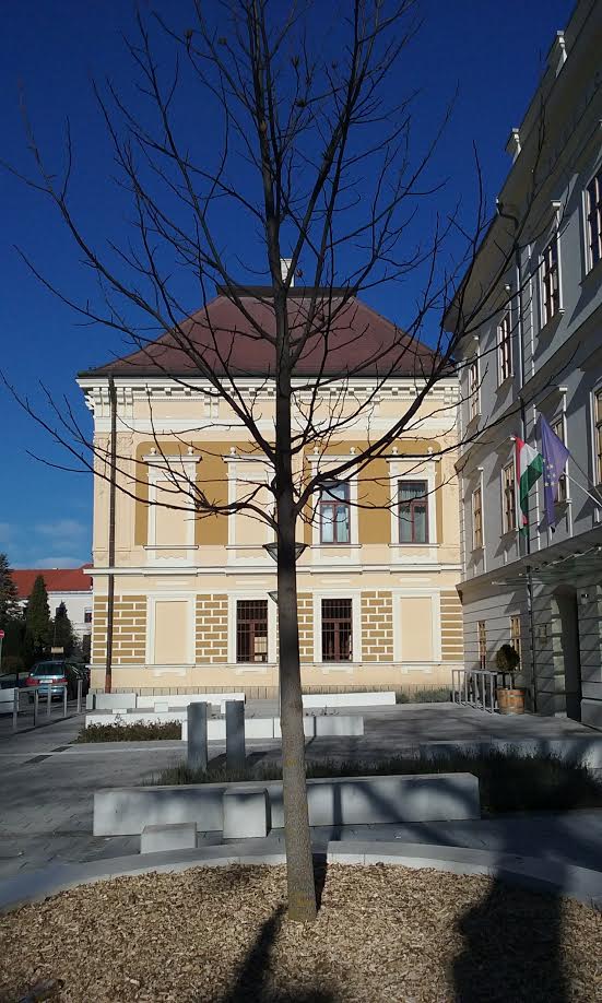 Tavaly december elején elkészült a gödör, két hét múlva beültették a faiskolából érkezett növendéket (Fotó: a szerző)