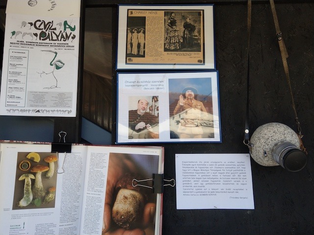 Klub23, Sokfélén egyfélék – ez a Klub23 esszenciája