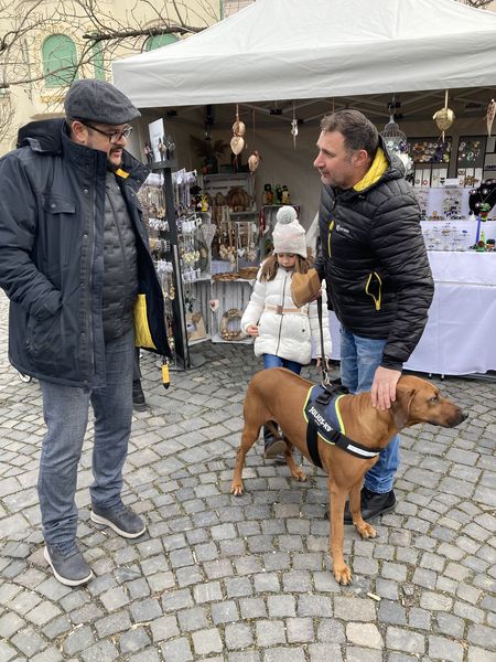 piac, PIAC – Színek, kincsek, hangulatok