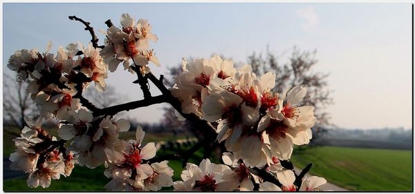 húsvét, Húsvét 2022: Háború és béke