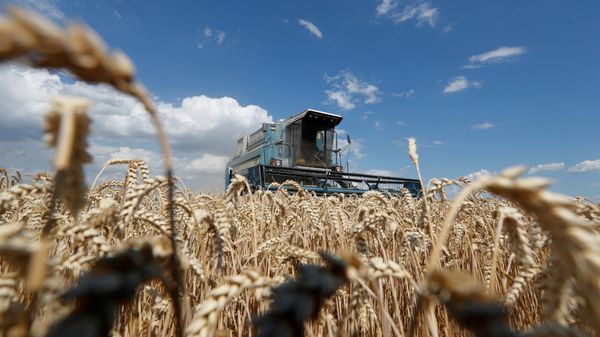 száz nap háború, Az ukrajnai háború száz napja – Drága lesz a globalizáció vége?