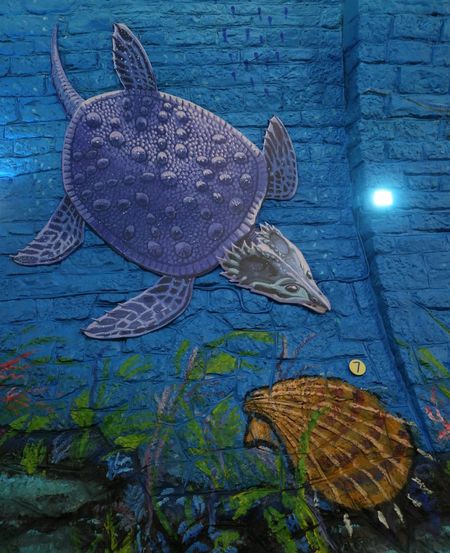 kavicsfogú, A kavicsfogú diadalútja