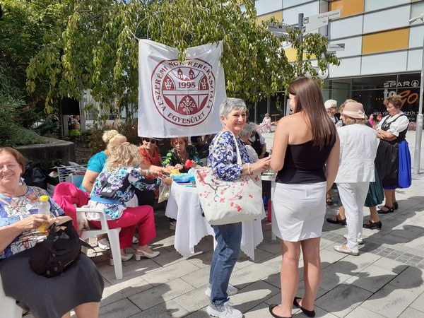 civil nap, CIVIL NAP – Pro Civitate díj a VVHHFE-nek
