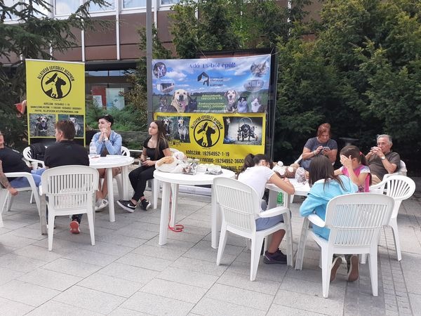 civil nap, CIVIL NAP – Pro Civitate díj a VVHHFE-nek