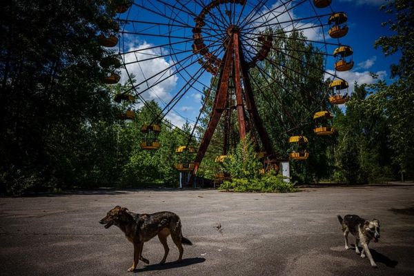 Csernobil, ATOMFRÁSZ – Csernobil a majálisokban