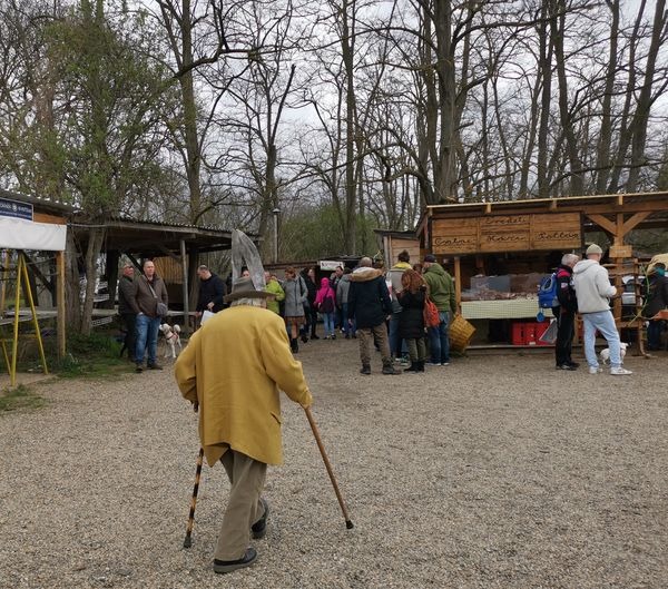húsvéti piac, LILIOMKERT – Jó hideg húsvéti piac