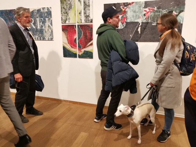 immu Pets Géczi, immu Pets: Géczi-happening