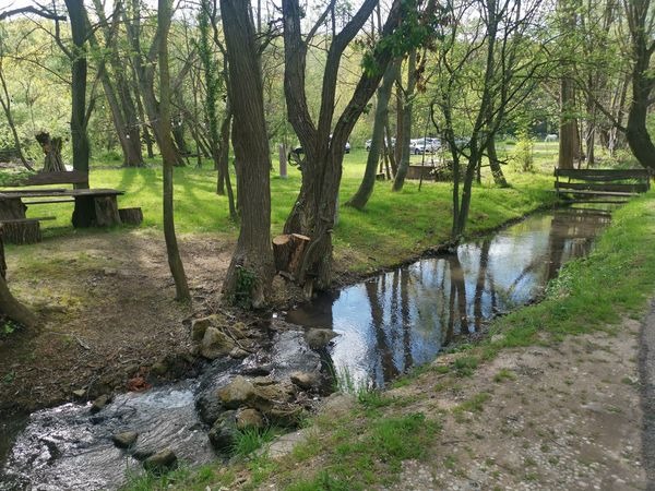 Somogyi Győző Dresch, Tavaszkezdés: Somogyi Győző és Dresch Lovason