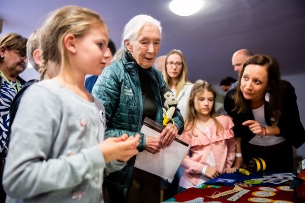 Jane Goodall, Jane Goodall, a remény nagykövete Veszprémben