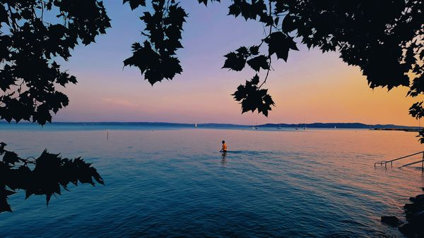 Szabó Petronella, REGE GALÉRIA – Szabó Petronella Balatonja