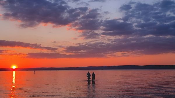 Szabó Petronella, REGE GALÉRIA – Szabó Petronella Balatonja