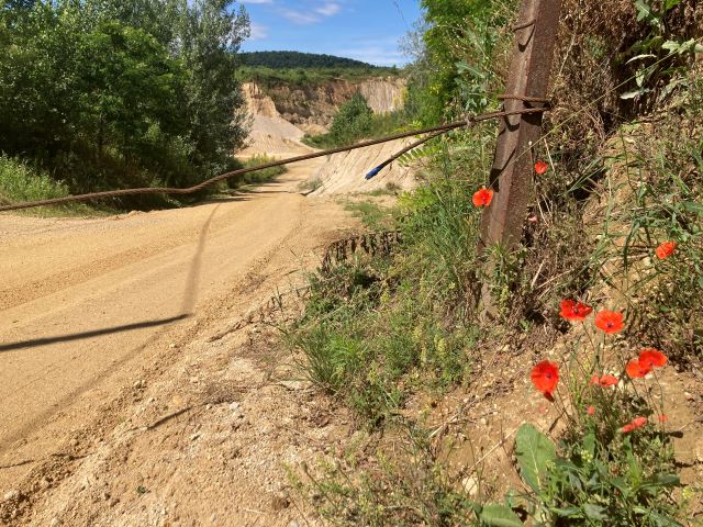 Tiszta Víz, TISZTA VÍZ – Felelőtlenség, gazemberség!