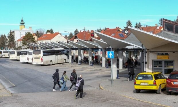 V-Busz, V-BUSZ – A lila ködtől a szakadékig és vissza