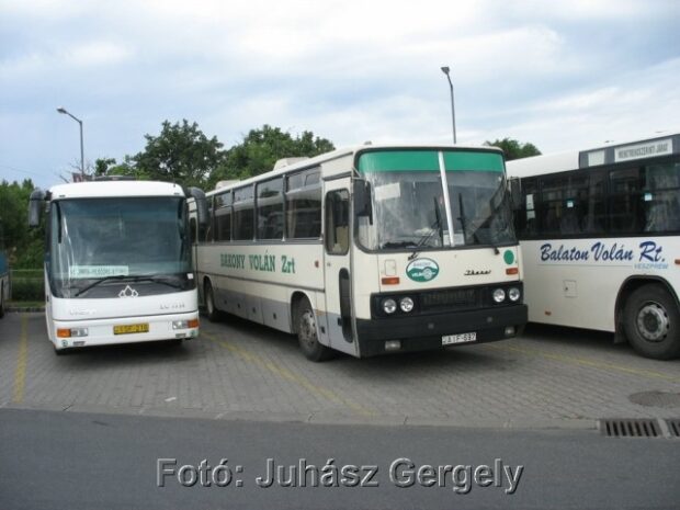 V-Busz, V-BUSZ – A lila ködtől a szakadékig és vissza