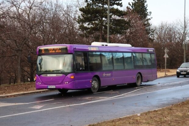 V-Busz, V-BUSZ – A lila ködtől a szakadékig és vissza