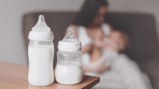 anyatejbank, KIS MAGYAR ABSZURD – Nemzeti Anyatejbank