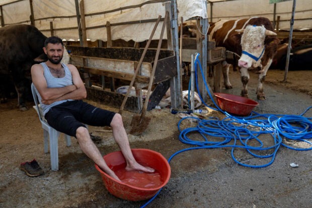 rohadt meleg, KLÍMAKATASZTRÓFA – Rohadt meleg van